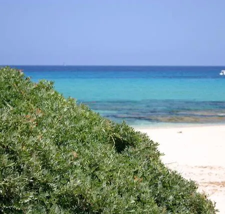 Magnolia * Муравьера