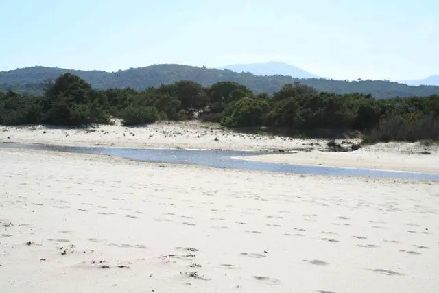 Appartamento Magnolia *